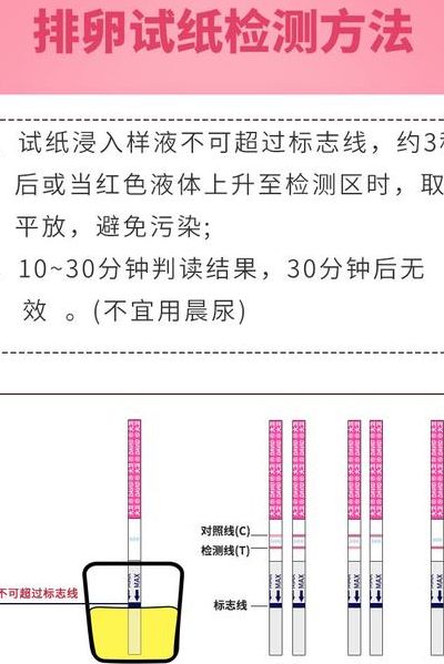 大卫排卵试纸怎么用（怎么用排卵试纸）