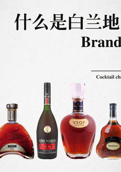白兰地是什么酒（白兰地是白酒还是葡萄酒）