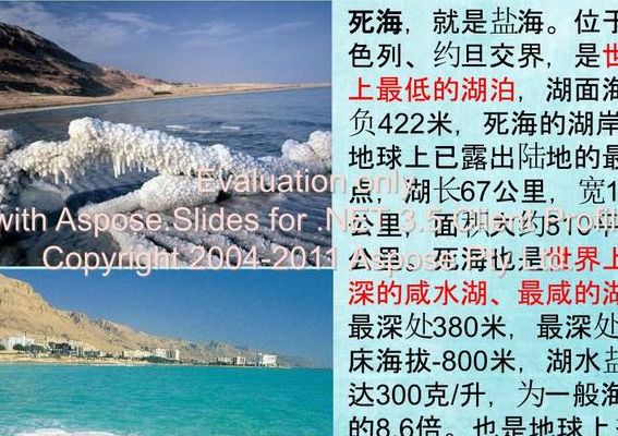 关于死海的资料（关于死海的知识有哪些）