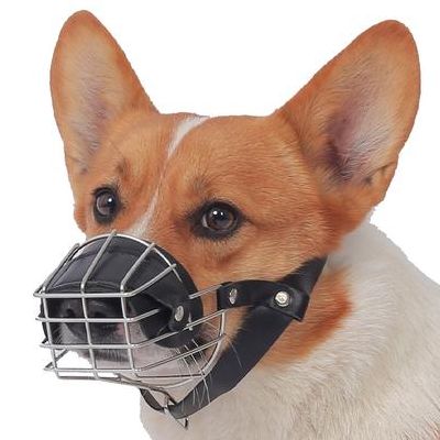 防止狗咬的防身工具（防狗咬神器）