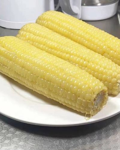 糯玉米比甜玉米容易胖（糯玉米和普通玉米哪个更发胖）