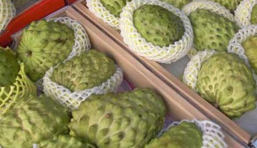 吃释迦果禁忌（释迦果与什么食物相克）