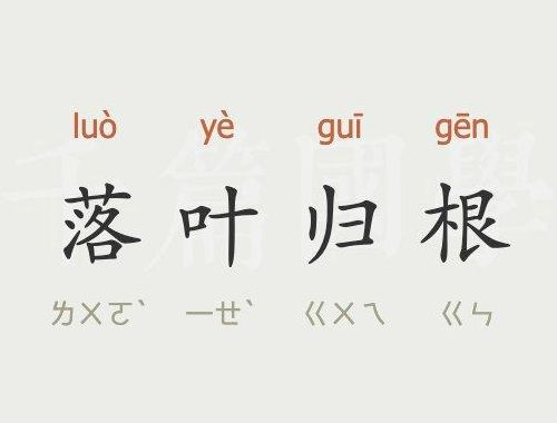 落叶归根下一句的套路（落叶归根后一句是什么?）