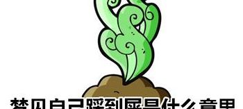 梦见自己踩到屎（梦见自己踩到屎还弄到手上）