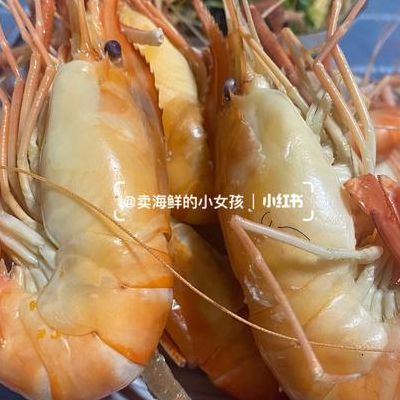 沼虾的呼吸器官是什么（总结沼虾适应水生生活的主要特征）