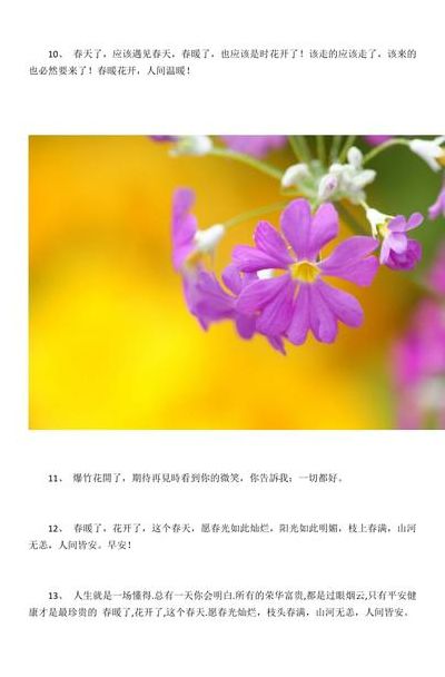 春天花开的说说（春天花开说说发朋友圈）