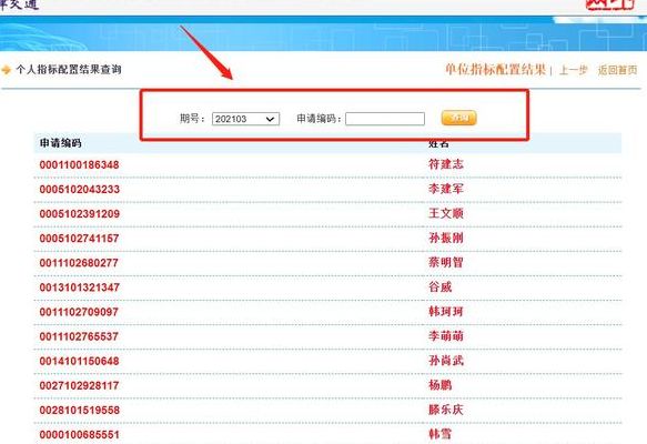 天津小客车摇号查询（天津小客车摇号查询官网查询系统）