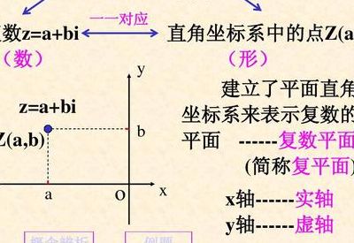 复数虚轴是什么（复数虚轴是什么意思）