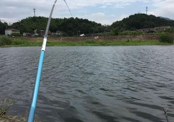 西南风好钓鱼吗（西南风钓鱼应该选什么位置）