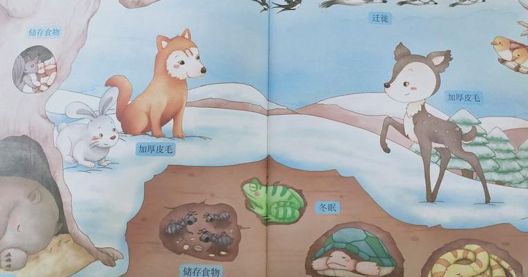 动物怎样过冬（动物怎样过冬的方法）