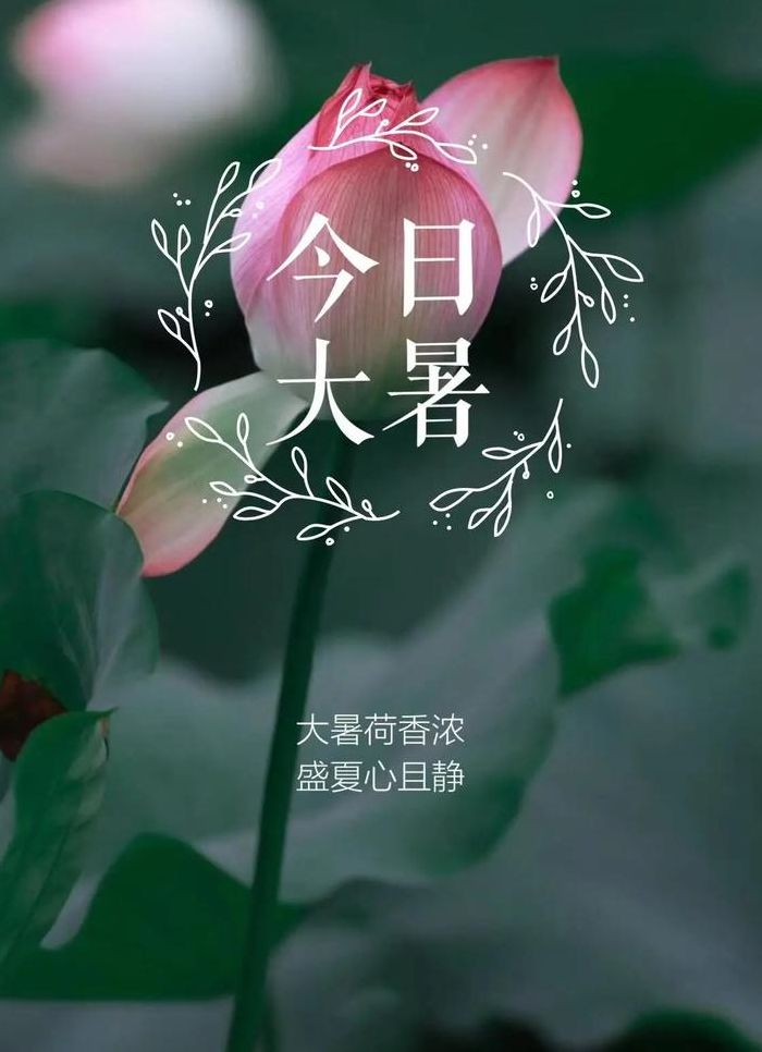 大暑文案（大暑文案简短）