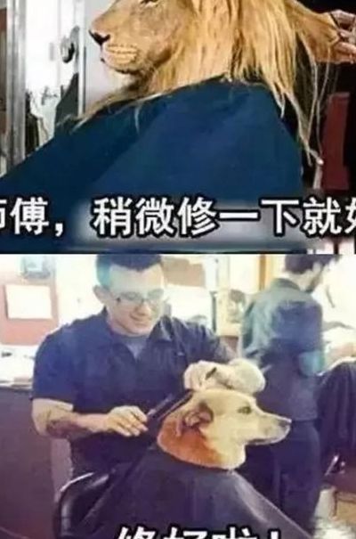 为什么发型师都叫托尼（为什么叫发型师为托尼）