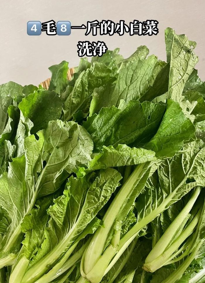 梅菜是什么菜晒干的（梅菜是什么菜晒干的,吃多了会牙齿疼吗）