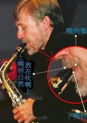 萨克斯自学入门（萨克斯自学入门囗型）