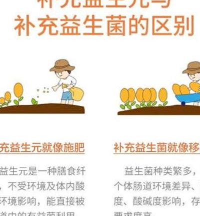 低聚半乳糖的作用（低聚半乳糖的作用及功效）