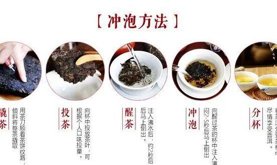 生普洱茶的泡法（生普洱茶的泡法介绍）