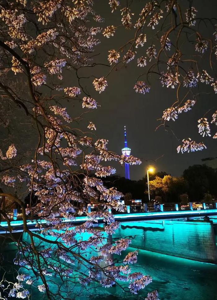 今晚夜色很美什么意思（今晚的夜色很美,打一成语）