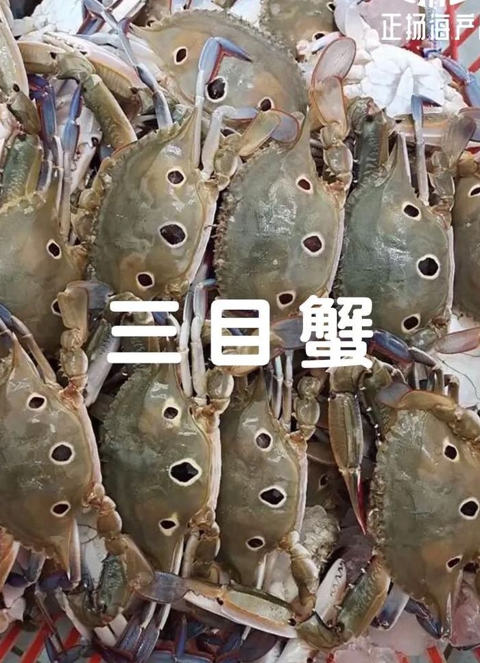 蟹蟹什么意思（蟹蟹是什么意思?）