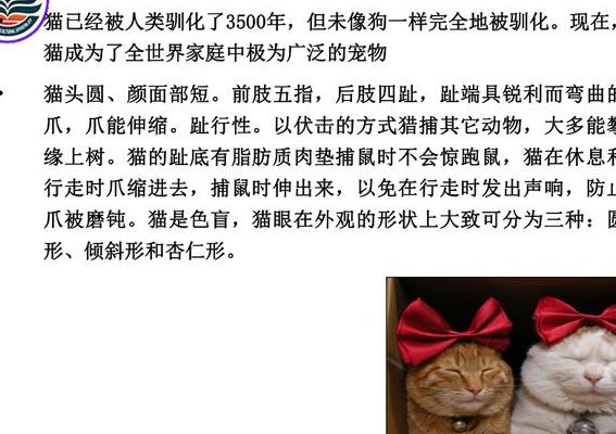 猫的特点有哪些（猫的特点有哪些?本领有哪些?）
