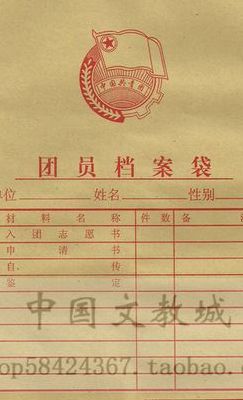 团员档案袋丢了怎么办（团员档案袋丢了怎么办重要吗）