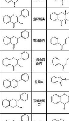 化合物分类（黄酮类化合物分类）