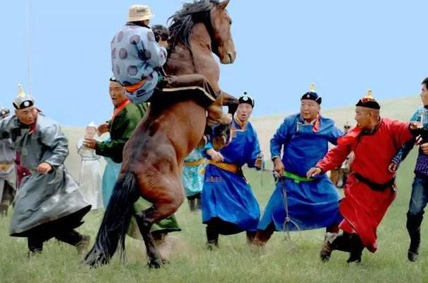 那达慕大会是哪个民族的节日（那达慕大会是哪个民族的节日的是哪个民族的节日）