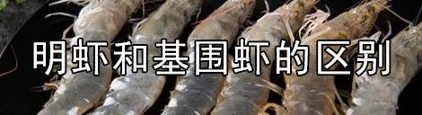 大明虾和基围虾的区别（养虾人不敢吃自己养的虾）