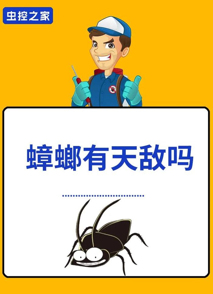 蟑螂的天敌（蟑螂的天敌是谁?）
