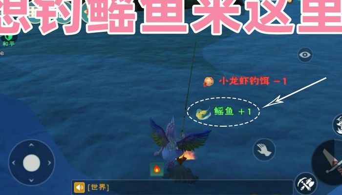 创造与魔法怎么钓鱼（创造与魔法怎么钓鱼新手）