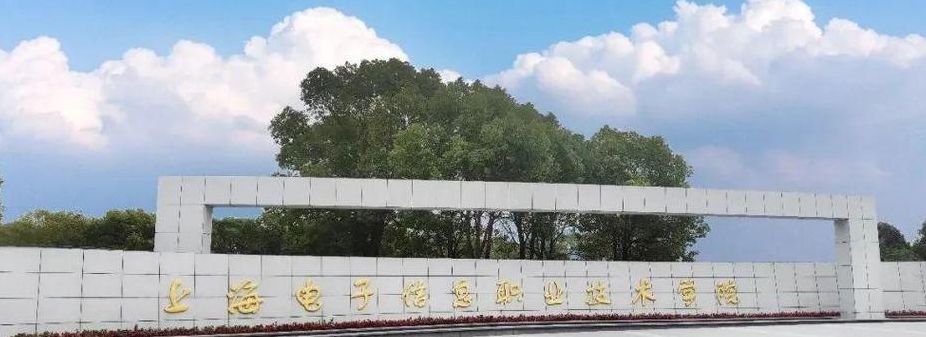 关于上海电子信息学院几本的信息