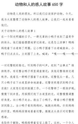 动物与人之间感人故事（动物与人之间的感人故事）