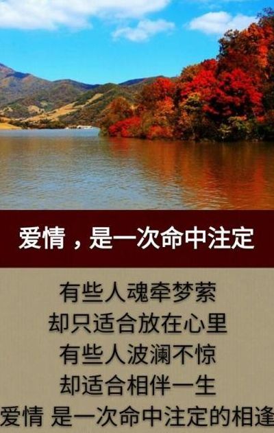 相伴一生的简短句子（相伴一生的唯美）