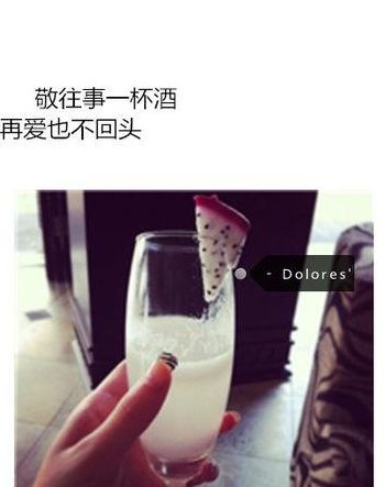 敬往事一杯酒那十句话（敬往事一杯酒下一句怎么说）