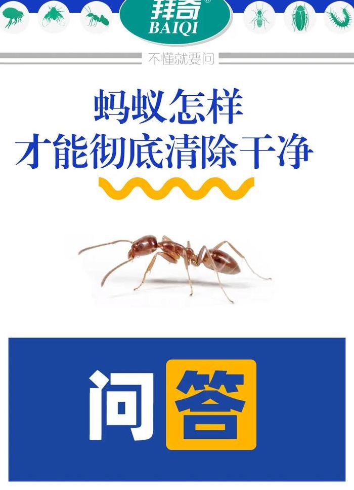 清除蚂蚁最有效的方法（清除蚂蚁的办法）