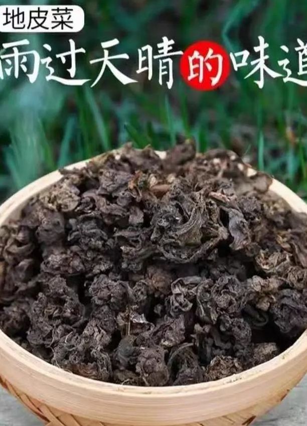 地皮菜图片（地皮菜图片 做法）