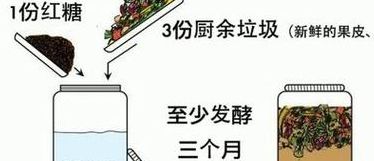 水果孝素的制作方法（自制水果酵素的制作方法）