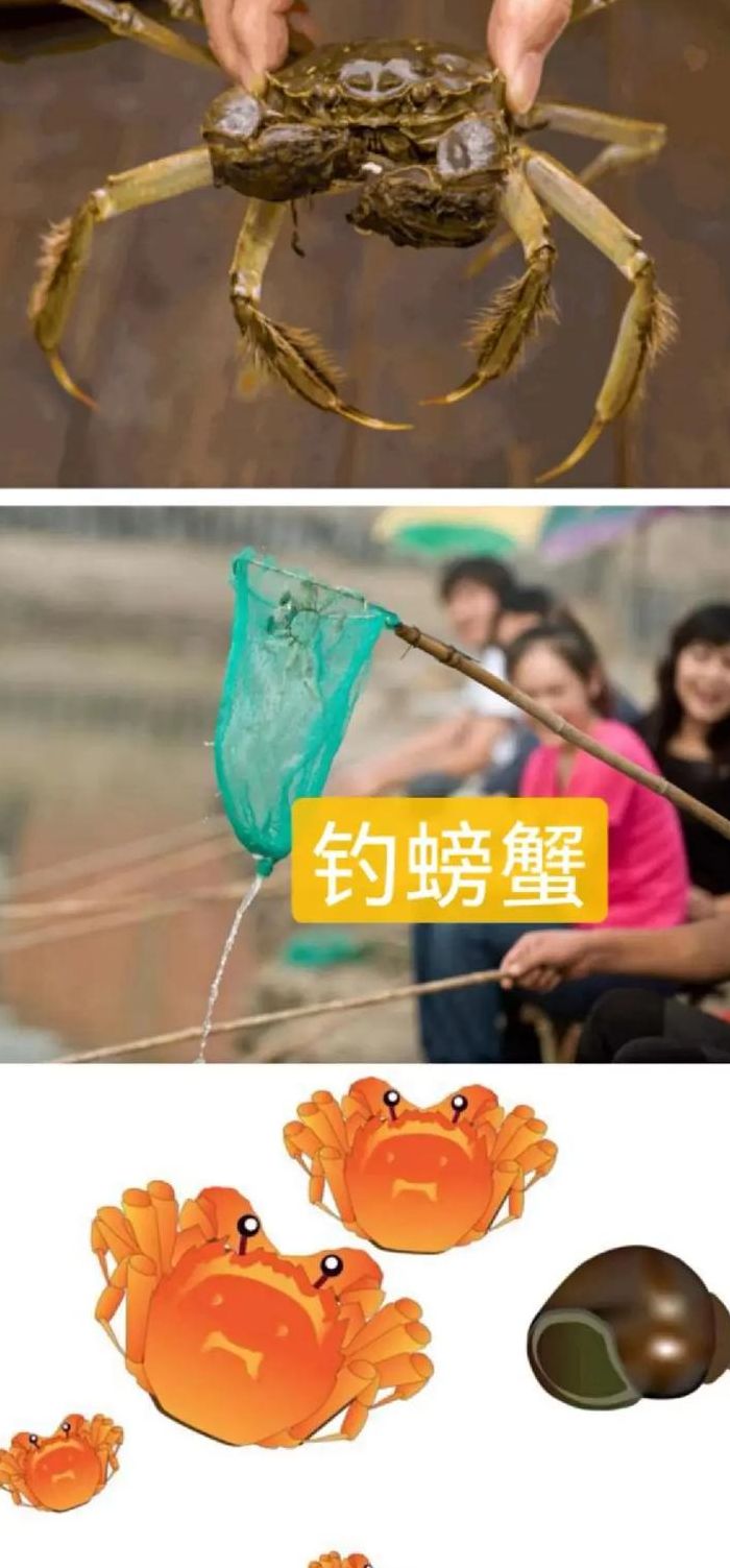 钓螃蟹的方法（钓螃蟹教程）
