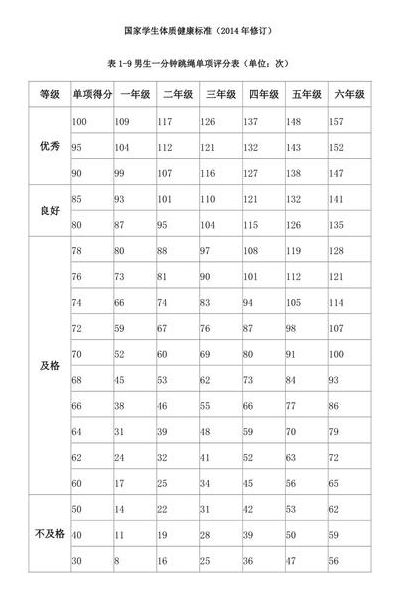 中考体育跳绳评分标准（中考体育跳绳评分标准一分钟）