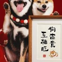 苟富贵勿相忘怎么接（苟富贵勿相忘怎么接下句）
