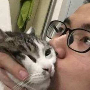 吸猫是什么意思（吸猫是什么意思百度百科）