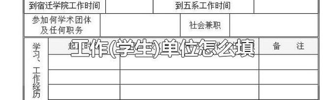 工作单位怎么填（工作单位怎么填学校）