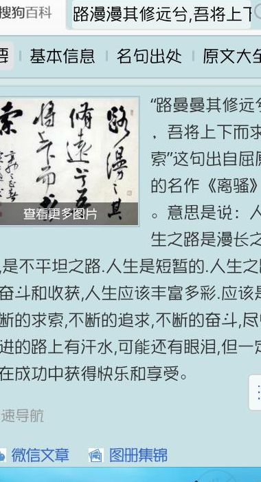 求索的意思（人生路漫漫其修远兮吾将而求索的意思）