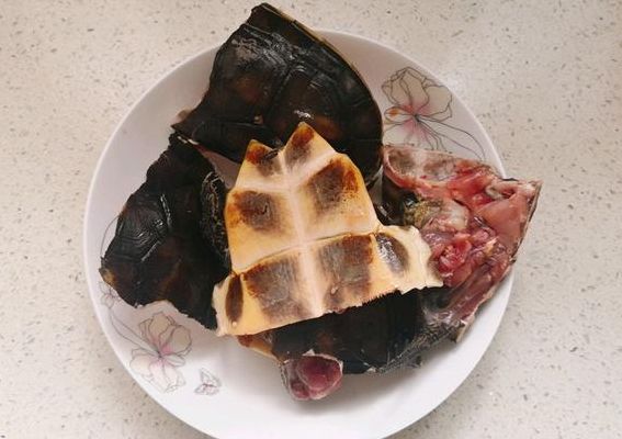 乌龟怎么做好吃（乌龟怎么做好吃又简单视频）
