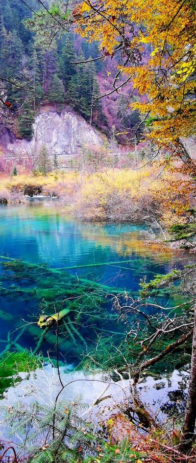 九寨沟珍珠滩（九寨沟珍珠滩图片）