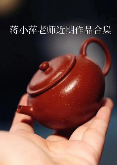 照例的读音（照例的读音及意思）