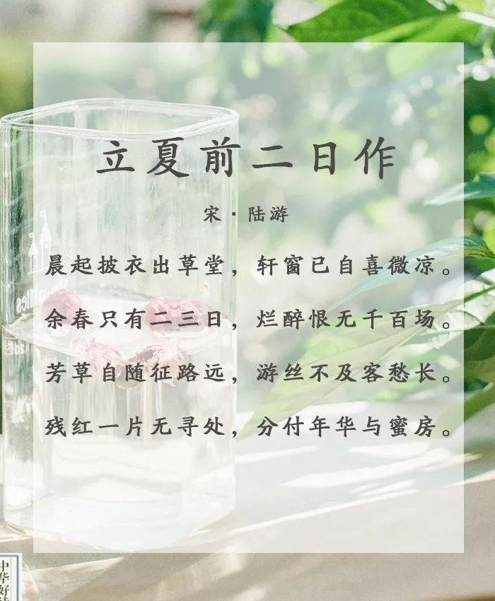 关于关于立夏的句子的信息