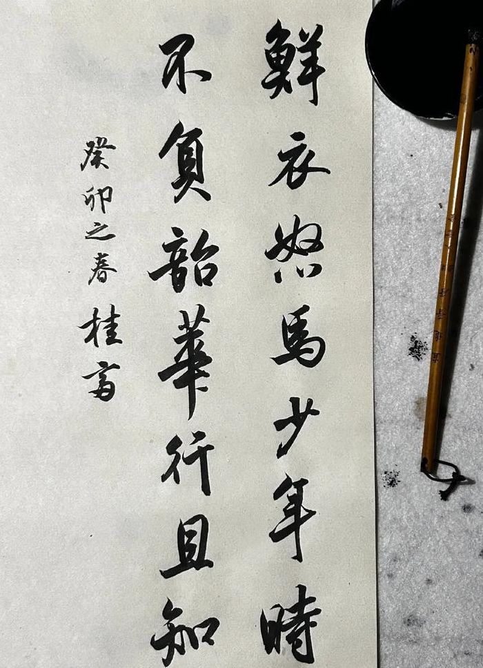 鲜衣怒马少年时（鲜衣怒马少年时,不负韶华不负卿）