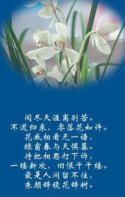 情为何物是啥意思（情为何物的意思）