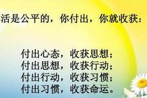 付出和收获的经典语录（付出和收获不成正比的经典语录）