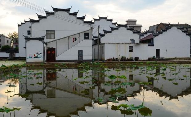 浙江东阳（浙江东阳巍山镇）